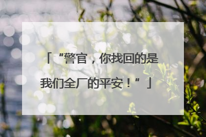 “警官，你找回的是我们全厂的平安！”