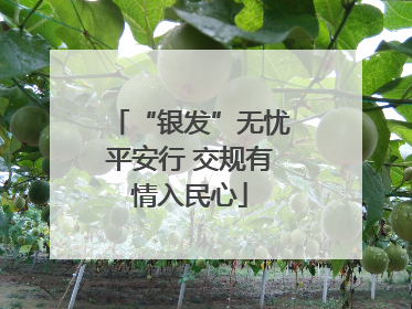 “银发”无忧平安行 交规有情入民心