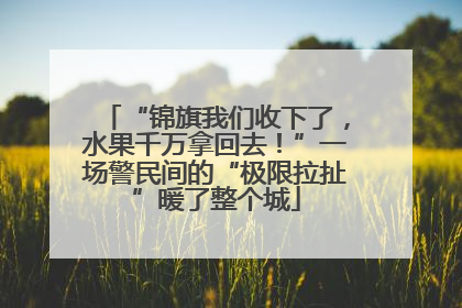 “锦旗我们收下了，水果千万拿回去！”一场警民间的“极限拉扯”暖了整个城