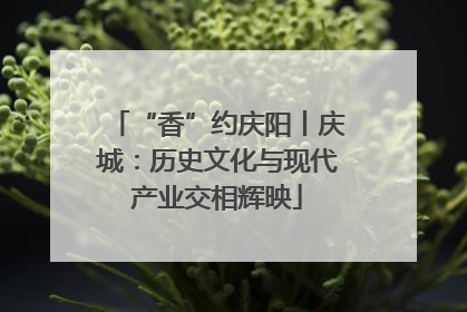 “香”约庆阳丨庆城：历史文化与现代产业交相辉映