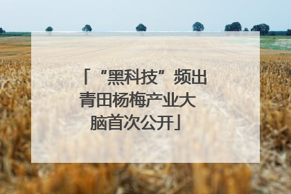 “黑科技”频出 青田杨梅产业大脑首次公开