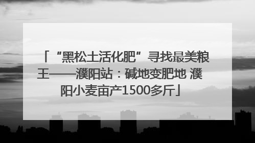 “黑松土活化肥”寻找最美粮王——濮阳站：碱地变肥地 濮阳小麦亩产1500多斤