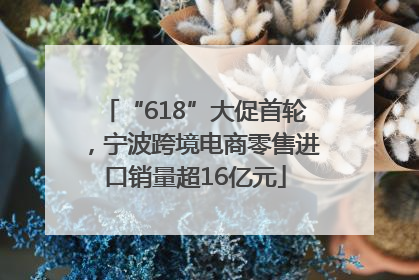 “618”大促首轮，宁波跨境电商零售进口销量超16亿元