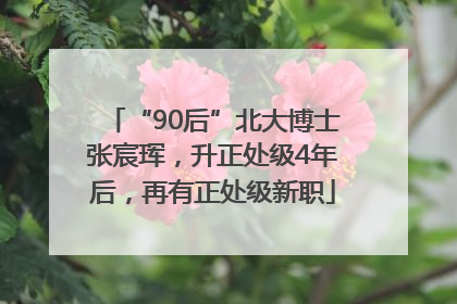 “90后”北大博士张宸珲，升正处级4年后，再有正处级新职