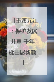 玉溪元江：保护发展并重 千年梯田展新颜