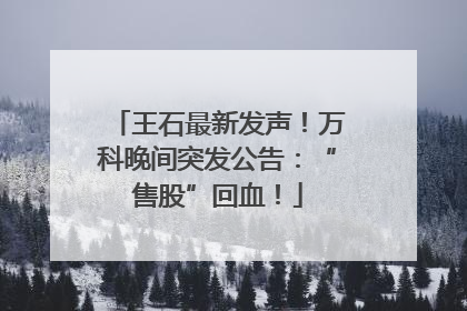 王石最新发声！万科晚间突发公告：“售股”回血！