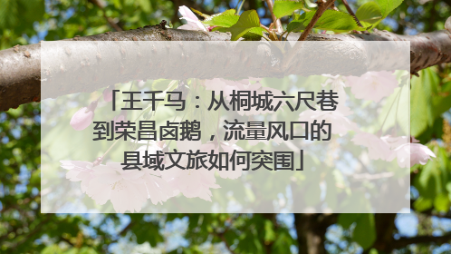 王千马：从桐城六尺巷到荣昌卤鹅，流量风口的县域文旅如何突围
