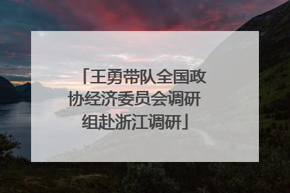 王勇带队全国政协经济委员会调研组赴浙江调研