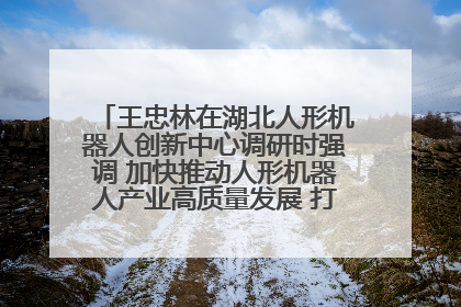 王忠林在湖北人形机器人创新中心调研时强调 加快推动人形机器人产业高质量发展 打造具有全国影响力的研发创新基地