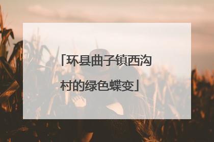 环县曲子镇西沟村的绿色蝶变