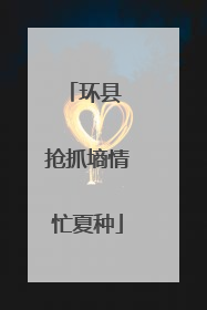 环县 抢抓墒情忙夏种