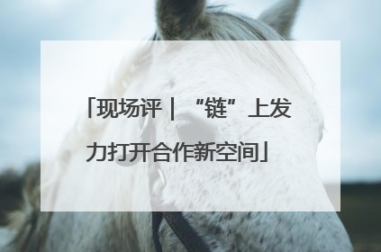 现场评｜“链”上发力打开合作新空间