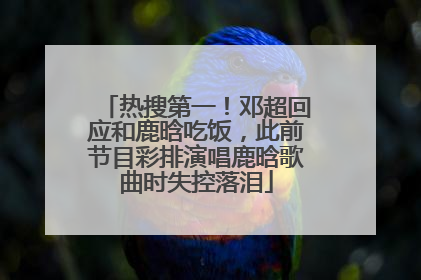 热搜第一！邓超回应和鹿晗吃饭，此前节目彩排演唱鹿晗歌曲时失控落泪