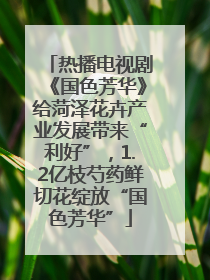 热播电视剧《国色芳华》给菏泽花卉产业发展带来“利好”，1.2亿枝芍药鲜切花绽放“国色芳华”