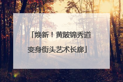 焕新！黄陂锦秀道变身街头艺术长廊