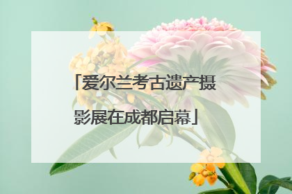 爱尔兰考古遗产摄影展在成都启幕