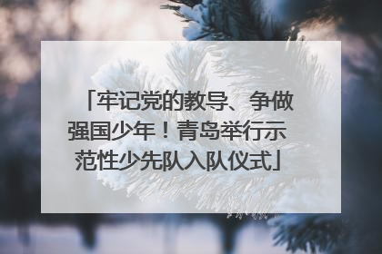 牢记党的教导、争做强国少年！青岛举行示范性少先队入队仪式