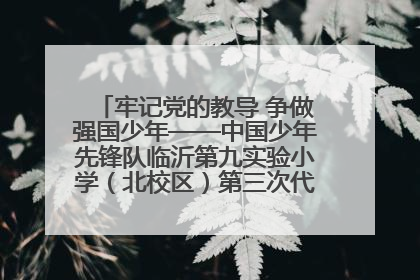 牢记党的教导 争做强国少年——中国少年先锋队临沂第九实验小学（北校区）第三次代表大会胜利召开