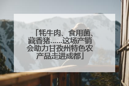 牦牛肉、食用菌、藏香猪……这场产销会助力甘孜州特色农产品走进成都