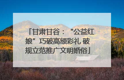 甘肃甘谷：“公益红娘”巧破高额彩礼 破规立范推广文明婚俗