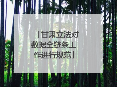 甘肃立法对数据全链条工作进行规范