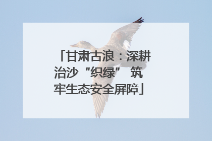 甘肃古浪：深耕治沙“织绿” 筑牢生态安全屏障