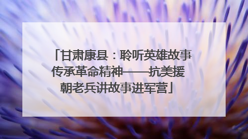 甘肃康县：聆听英雄故事 传承革命精神——抗美援朝老兵讲故事进军营