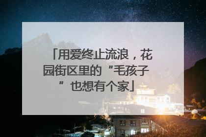 用爱终止流浪，花园街区里的“毛孩子”也想有个家