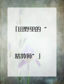 田野里的“精算师”