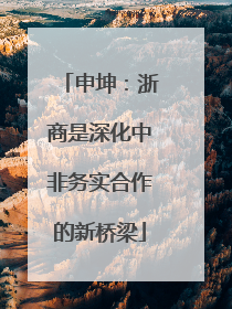 申坤：浙商是深化中非务实合作的新桥梁