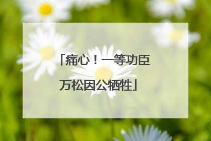 痛心！一等功臣万松因公牺牲