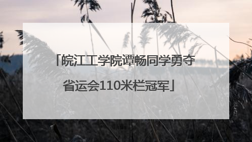 皖江工学院谭畅同学勇夺省运会110米栏冠军