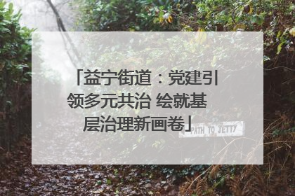 益宁街道：党建引领多元共治 绘就基层治理新画卷