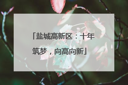 盐城高新区：十年筑梦，向高向新