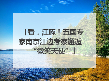 看，江豚！五国专家南京江边考察邂逅“微笑天使”