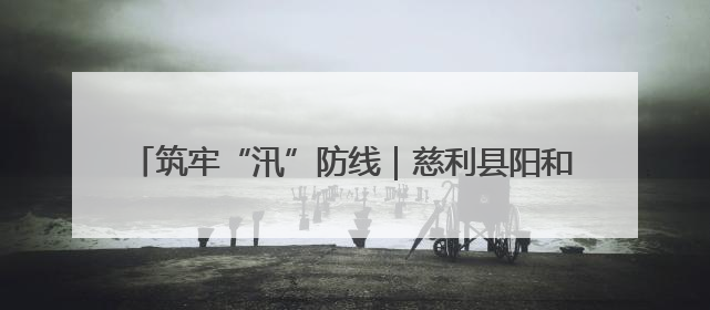 筑牢“汛”防线｜慈利县阳和土家族乡：闻“汛”而动 全员下沉筑牢防汛“安全堤”