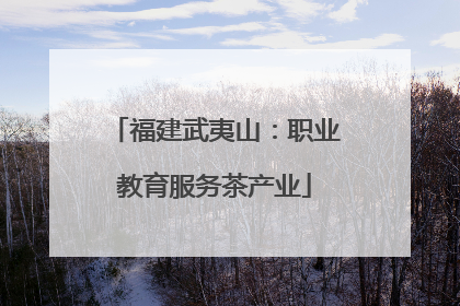福建武夷山：职业教育服务茶产业