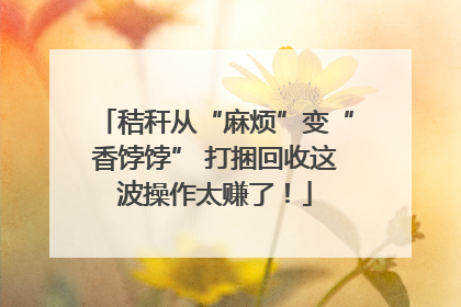 秸秆从“麻烦”变“香饽饽” 打捆回收这波操作太赚了！