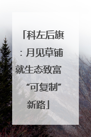 科左后旗：月见草铺就生态致富“可复制”新路