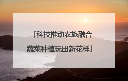 科技推动农旅融合 蔬菜种植玩出新花样