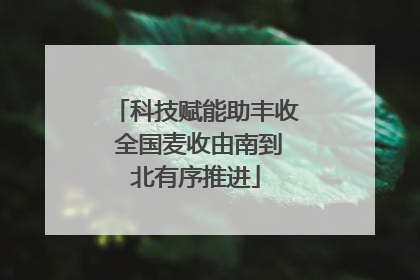 科技赋能助丰收 全国麦收由南到北有序推进