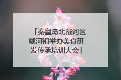 秦皇岛北戴河区戴河镇举办美食研发传承培训大会