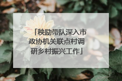 秧励带队深入市政协机关联点村调研乡村振兴工作