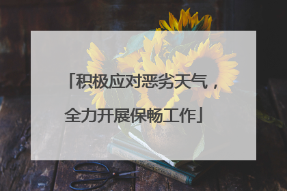 积极应对恶劣天气，全力开展保畅工作