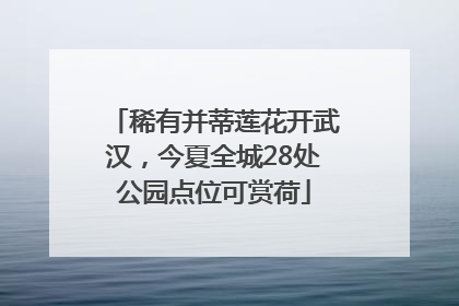 稀有并蒂莲花开武汉，今夏全城28处公园点位可赏荷
