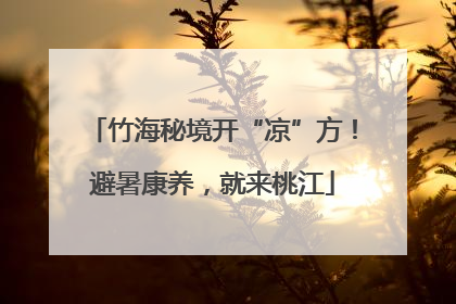 竹海秘境开“凉”方！避暑康养，就来桃江