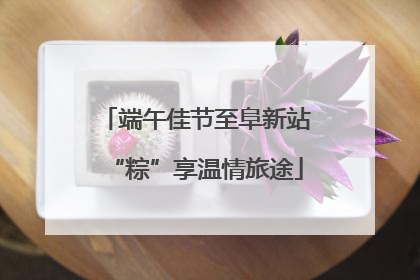 端午佳节至阜新站“粽”享温情旅途