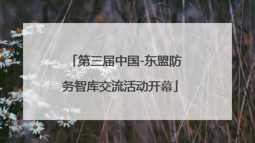 第三届中国-东盟防务智库交流活动开幕