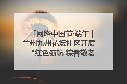 网络中国节·端午｜兰州九州花坛社区开展“红色领航 粽香敬老”端午主题活动