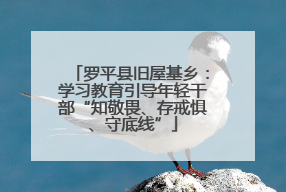 罗平县旧屋基乡：学习教育引导年轻干部“知敬畏、存戒惧、守底线”